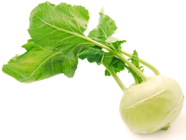 Kohlrabi CAVOLO RAPA 1