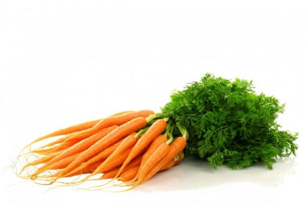 Carrots with green Carote a mazzi