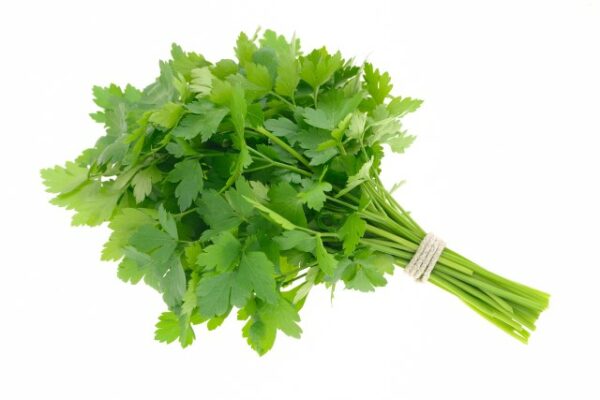 Parsley Prezzemolo