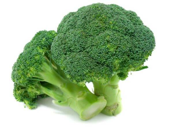 Broccoli broccolo