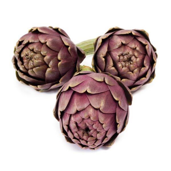 Artichokes carciofo