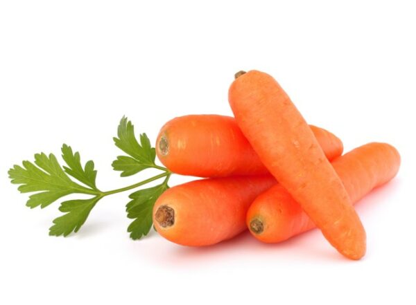 Carrots carota zapponeta