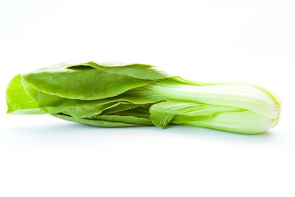 Mangold sxc hu 1426822 meiteng baby bok choy