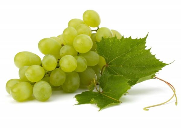 Grapes uva verde